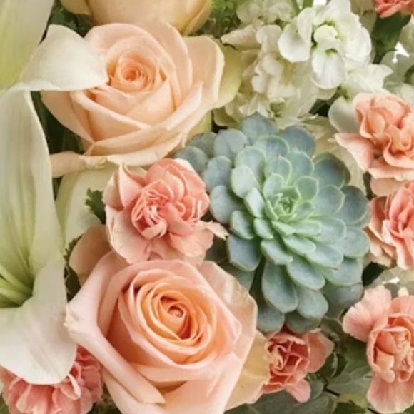 Meet your Posher, Emily - Picture 1 of 1